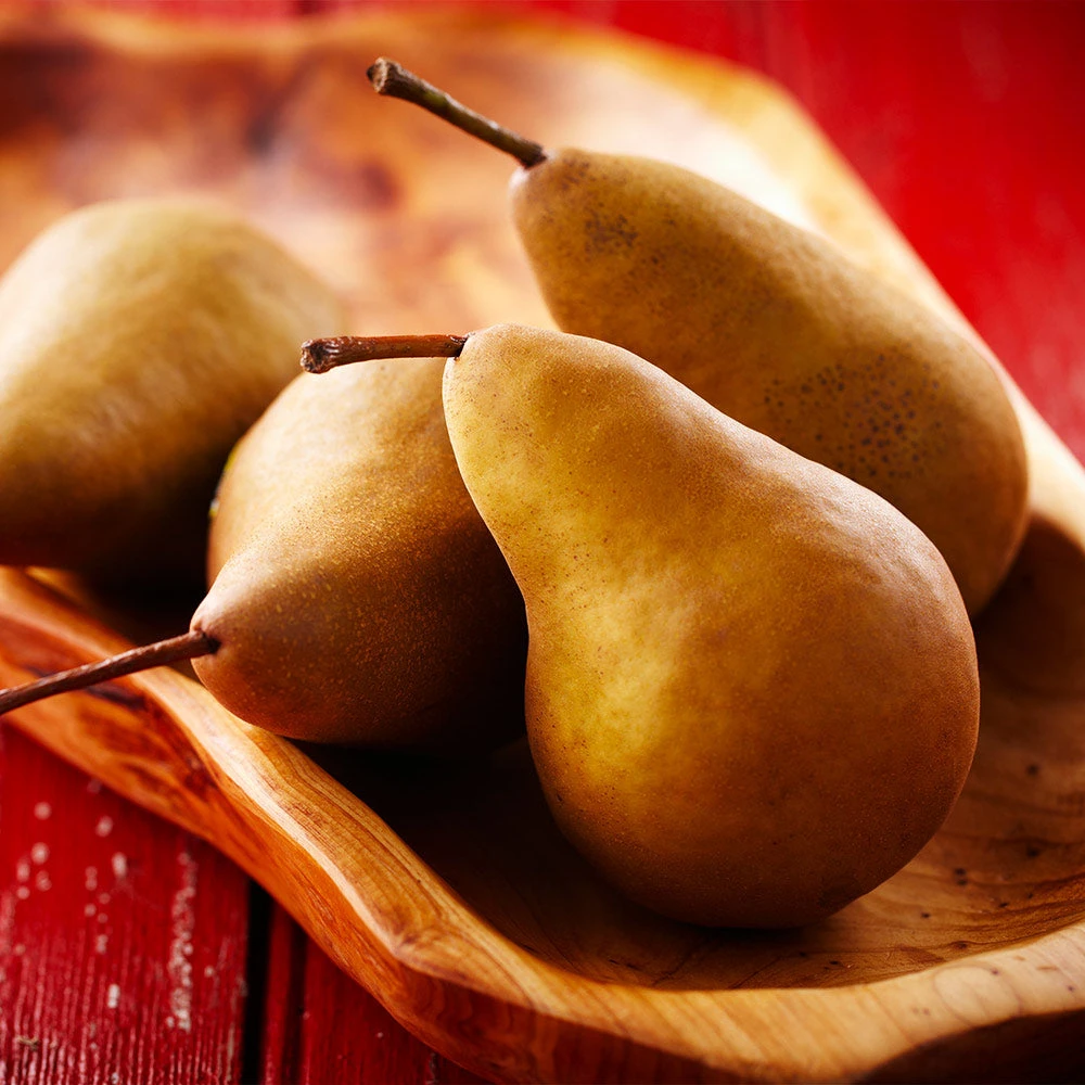 Bosc Pear Tree - Image 3