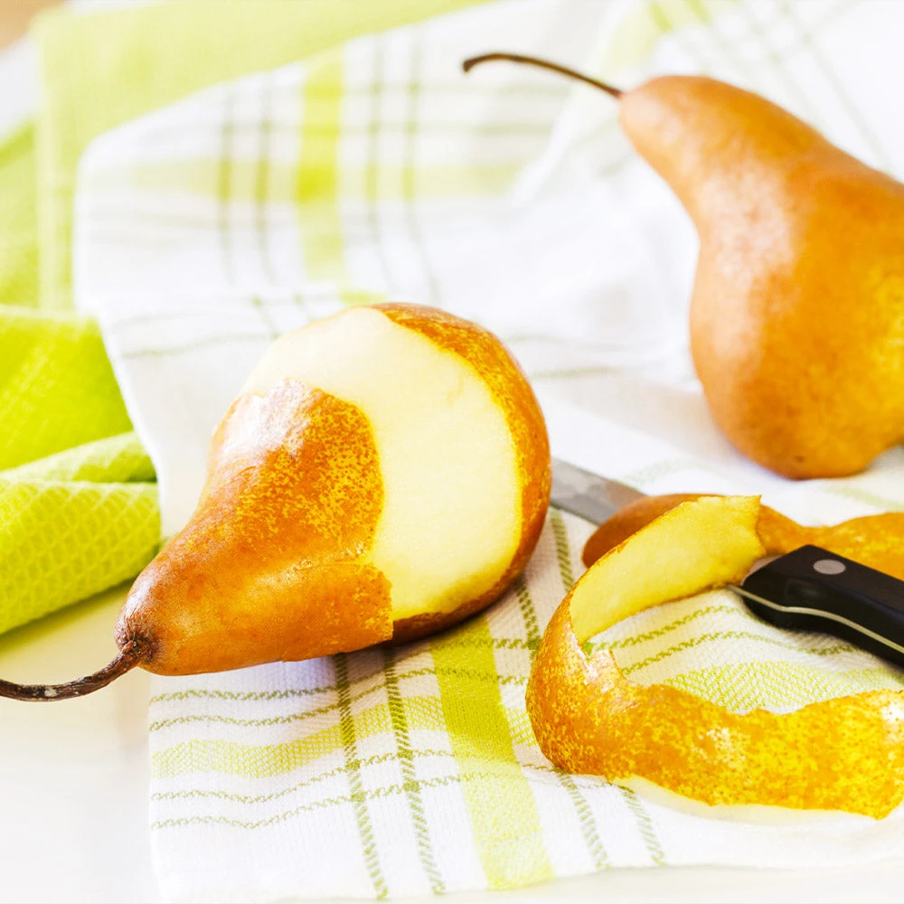 Bosc Pear Tree - Image 4