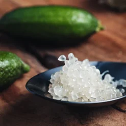 Australian Finger Lime Tree