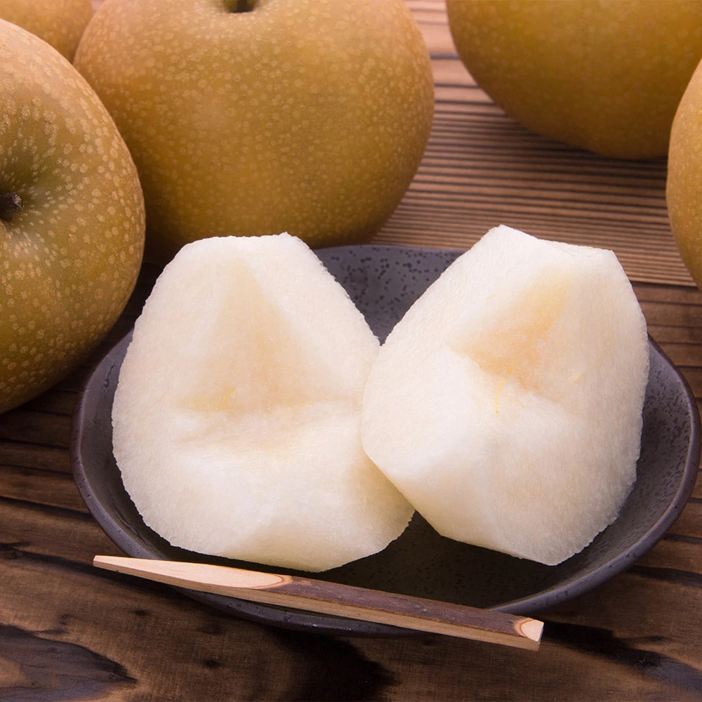 Hosui Asian Pear Tree - Image 5