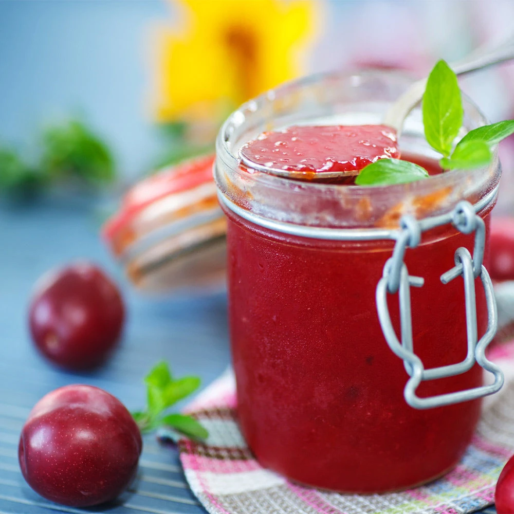 Santa Rosa Plum Tree - Image 5