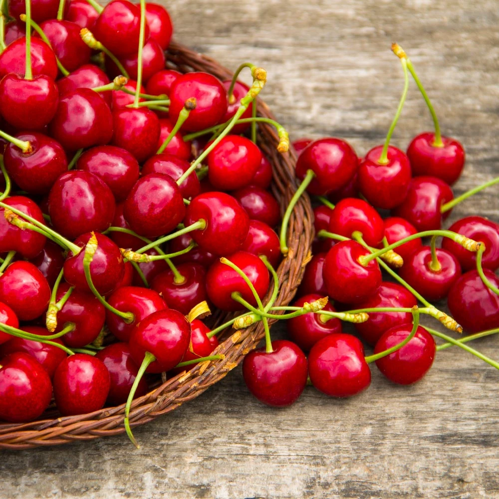 Sweetheart Cherry Tree - Image 3